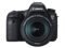 Canon EOS 5D Mark IV and Sections with Sidebar